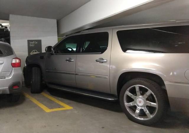 morning picdump 51 pics 12.html - 51 HD Photos | Premium Gallery 2018