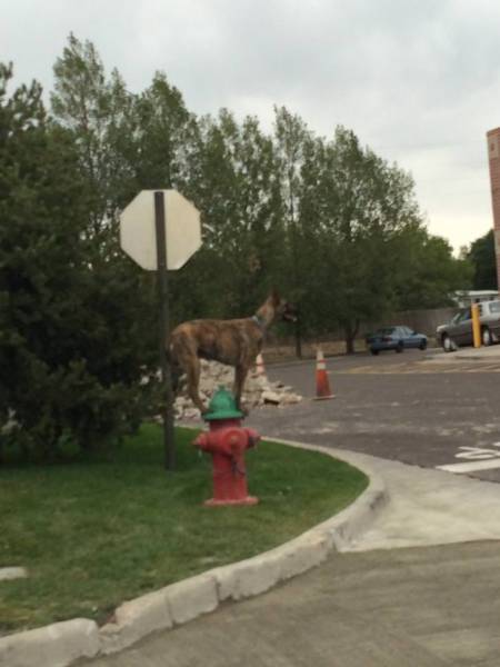 morning picdump 51 pics 12.html - 51 HD Photos | Premium Gallery 2018