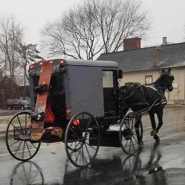 morning picdump 51 pics 12.html - 51 HD Photos | Premium Gallery 2018