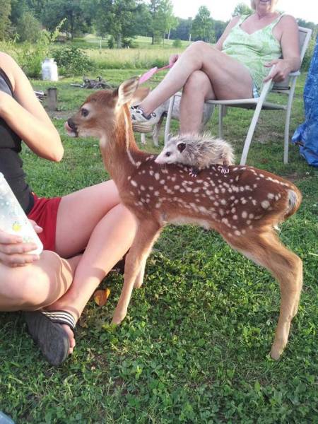Daily Picdump [WEEKEND EDITION]