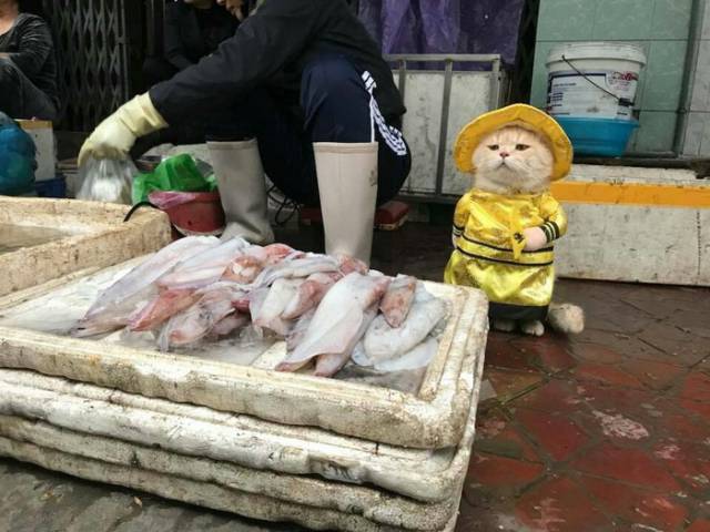 Daily Picdump [WEEKEND EDITION]