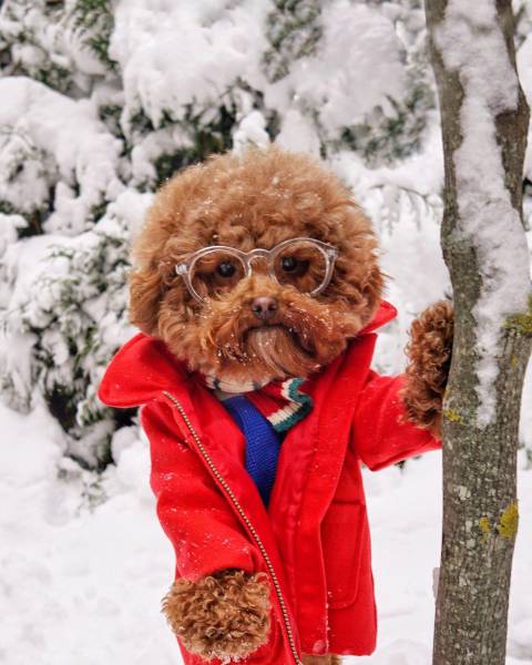 daily picdump weekend edition 51 pics 21.html - 51 HD Photos | Premium Gallery 2018