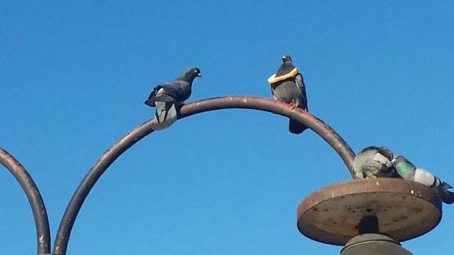 daily picdump 98 pics 16.html - 98 HD Photos | Premium Gallery 2018