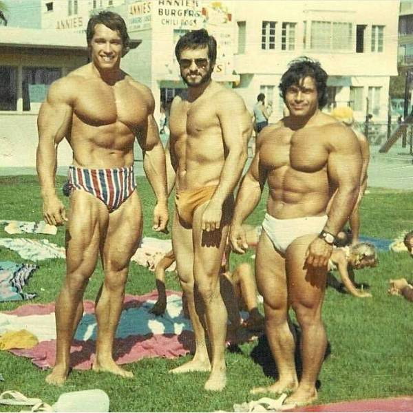 daily picdump 98 pics 16.html - 98 HD Photos | Premium Gallery 2018