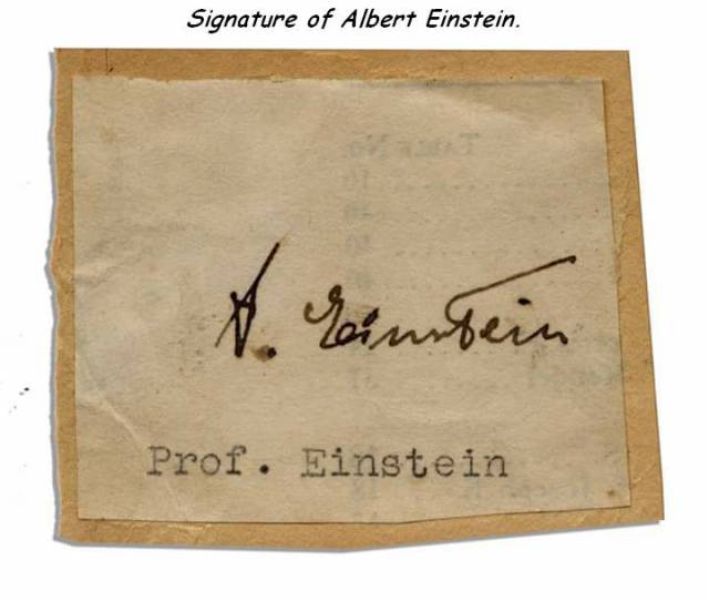 daily picdump 98 pics 16.html - 98 HD Photos | Premium Gallery 2018