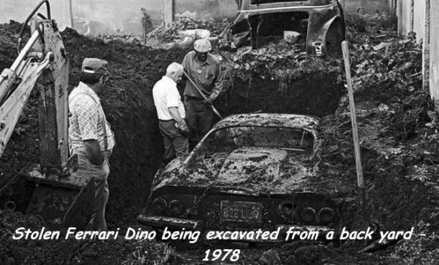 daily picdump 98 pics 16.html - 98 HD Photos | Premium Gallery 2018