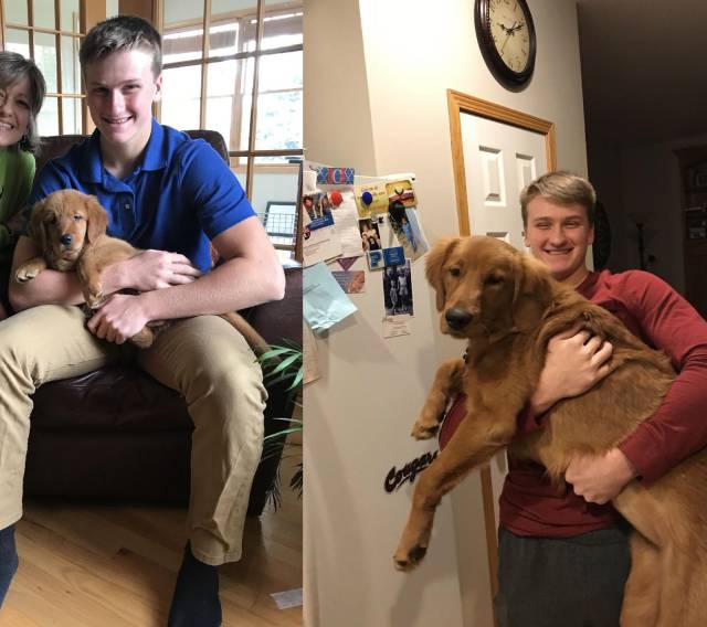 daily picdump 98 pics 16.html - 98 HD Photos | Premium Gallery 2018