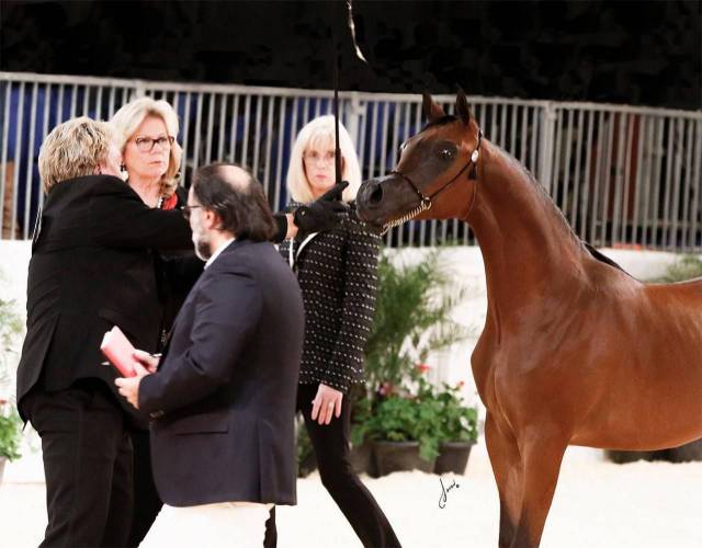 daily picdump 98 pics 16.html - 98 HD Photos | Premium Gallery 2018