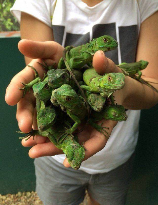 daily picdump 98 pics 16.html - 98 HD Photos | Premium Gallery 2018