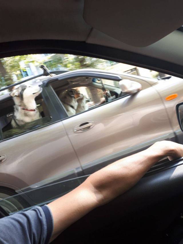 daily picdump 98 pics 16.html - 98 HD Photos | Premium Gallery 2018