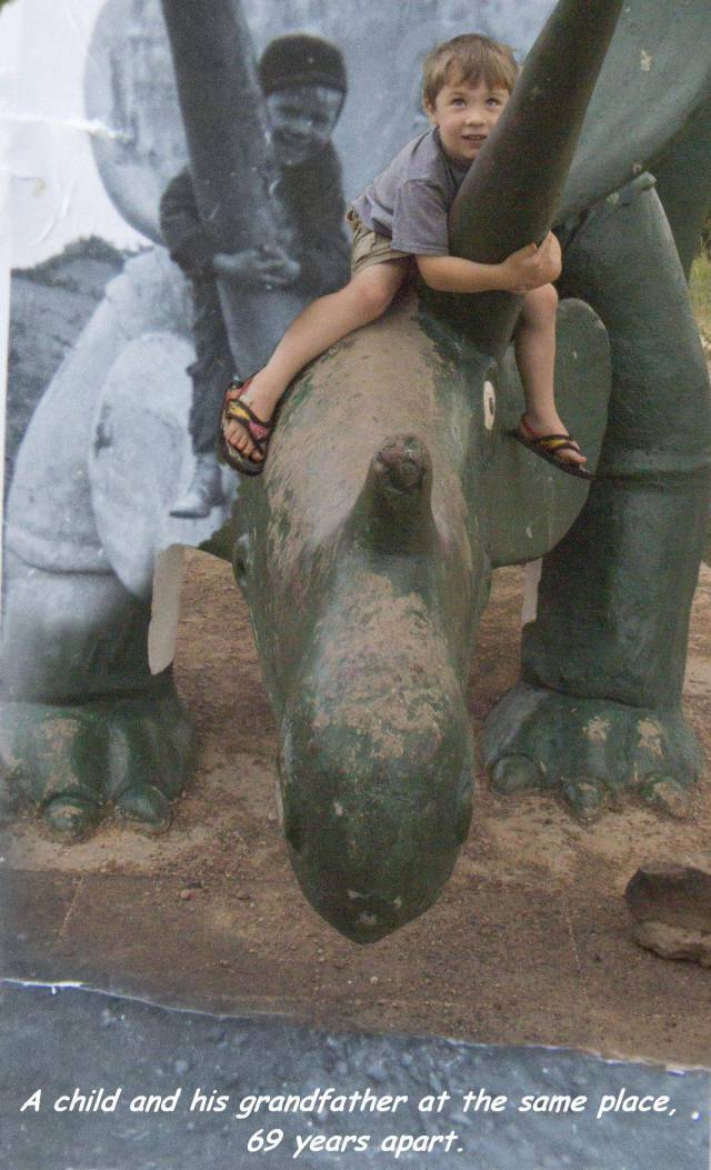 daily picdump 98 pics 16.html - 98 HD Photos | Premium Gallery 2018