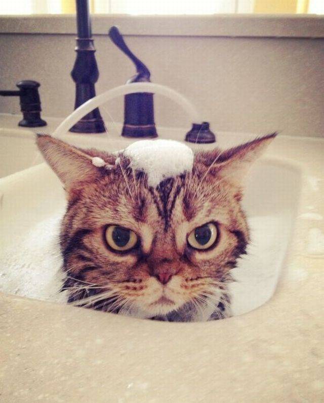 daily picdump 98 pics 16.html - 98 HD Photos | Premium Gallery 2018