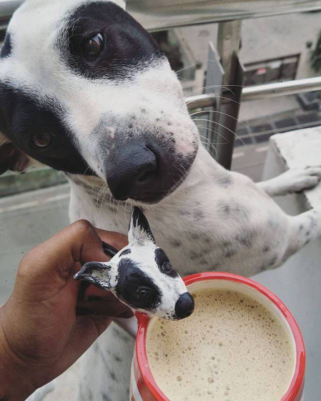 daily picdump 98 pics 16.html - 98 HD Photos | Premium Gallery 2018