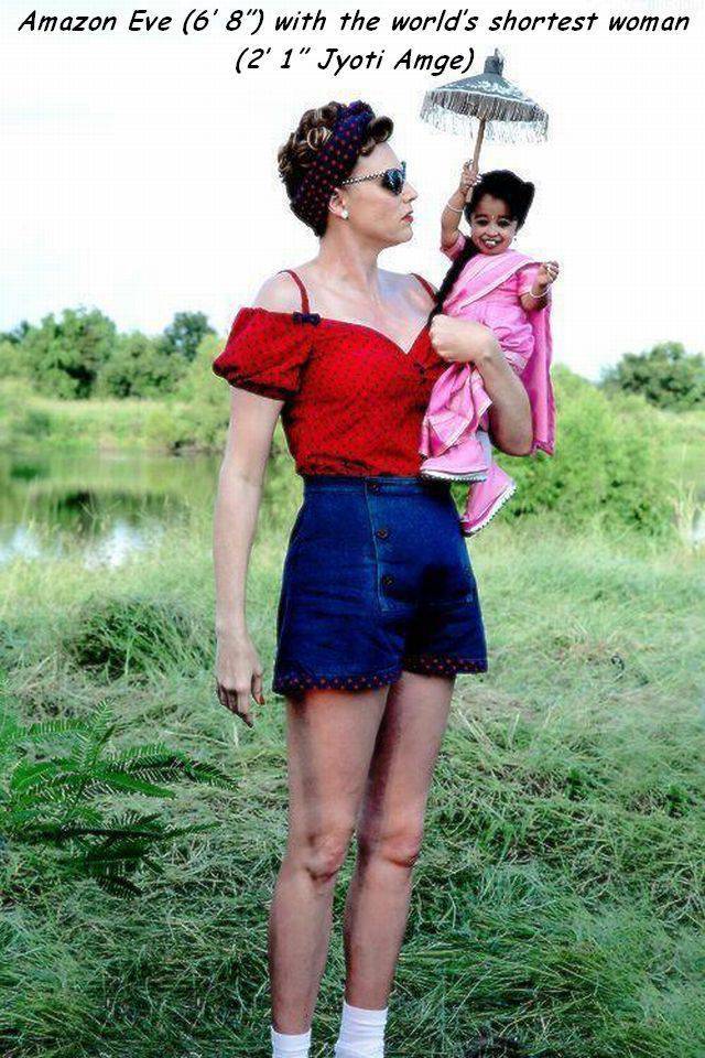 daily picdump 98 pics 16.html - 98 HD Photos | Premium Gallery 2018