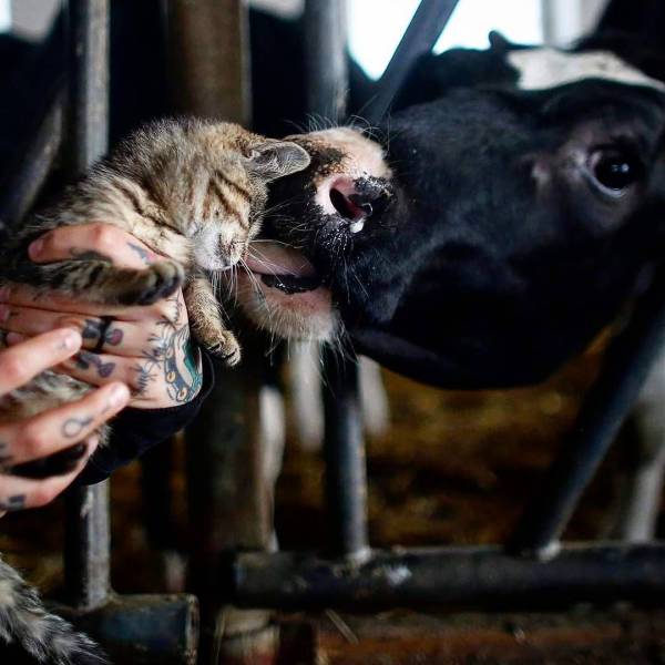 daily picdump 102 pics 38.html - 102 HD Photos | Premium Gallery 2018