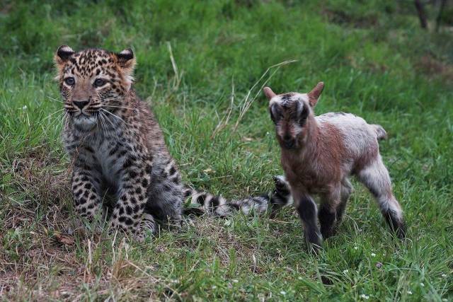 daily picdump 102 pics 38.html - 102 HD Photos | Premium Gallery 2018