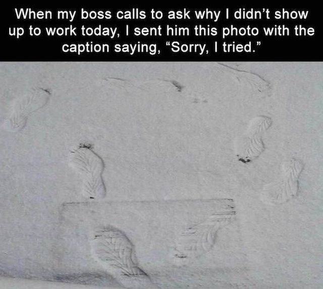 daily picdump 102 pics 38.html - 102 HD Photos | Premium Gallery 2018