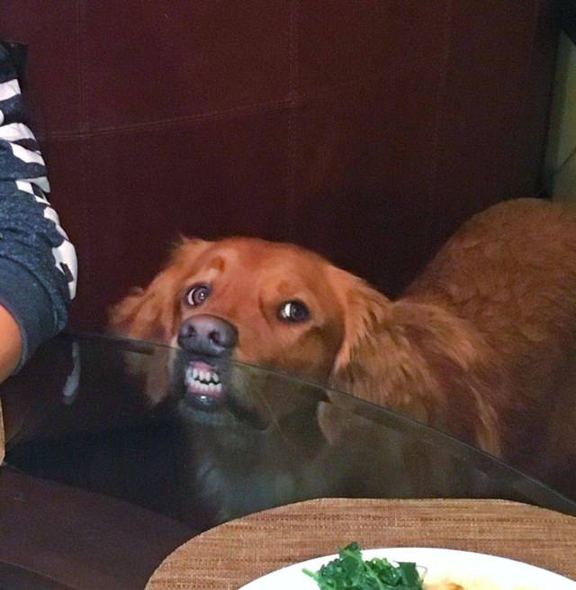 daily picdump 102 pics 38.html - 102 HD Photos | Premium Gallery 2018