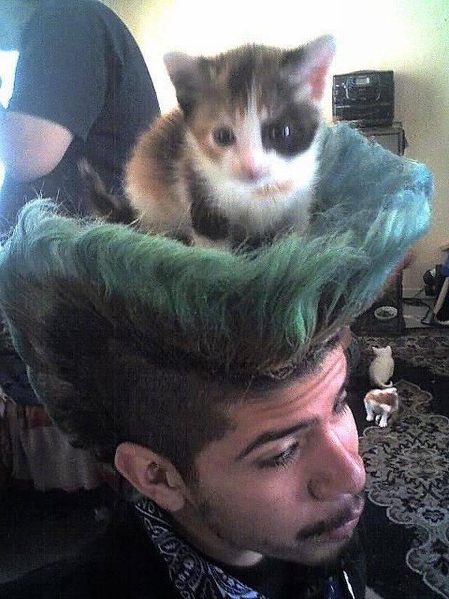 daily picdump 102 pics 38.html - 102 HD Photos | Premium Gallery 2018