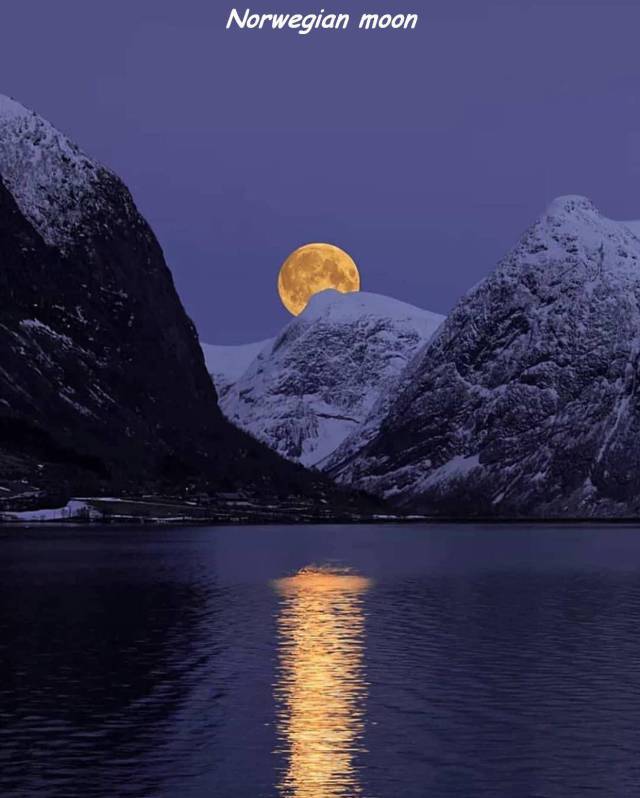 daily picdump 102 pics 38.html - 102 HD Photos | Premium Gallery 2018