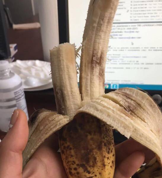 morning picdump 50 pics 21.html - 50 HD Photos | Premium Gallery 2018