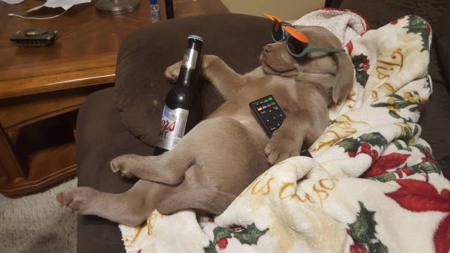 morning picdump 50 pics 21.html - 50 HD Photos | Premium Gallery 2018