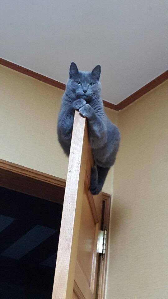 morning picdump 50 pics 21.html - 50 HD Photos | Premium Gallery 2018