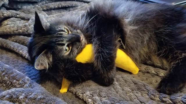 daily picdump 95 pics 38.html - 95 HD Photos | Premium Gallery 2018