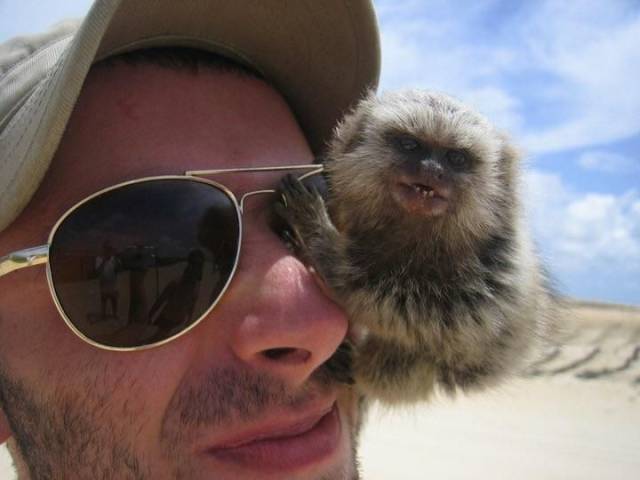 daily picdump 95 pics 38.html - 95 HD Photos | Premium Gallery 2018