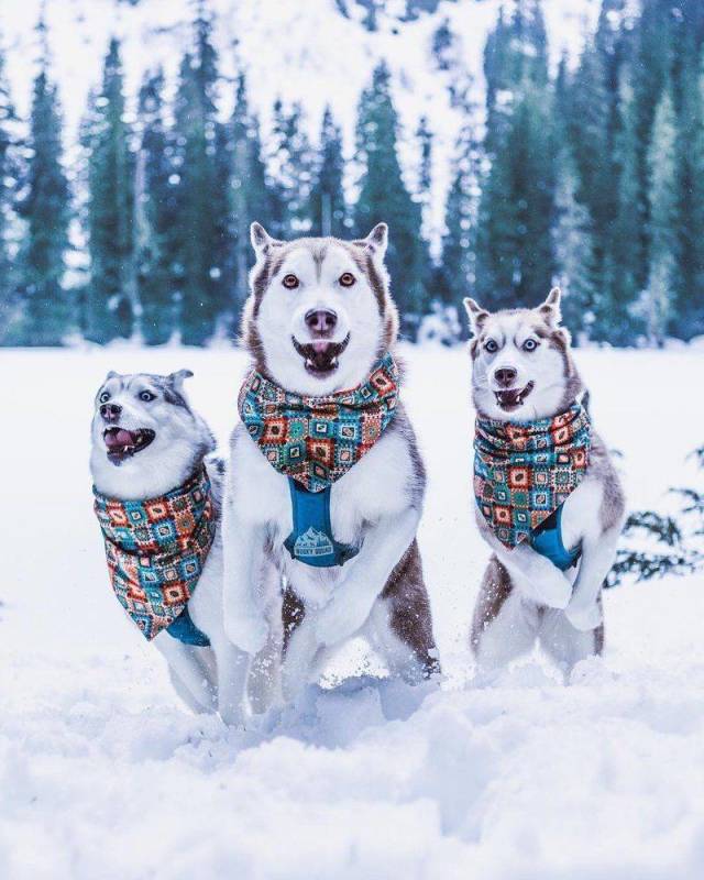 daily picdump 95 pics 38.html - 95 HD Photos | Premium Gallery 2018