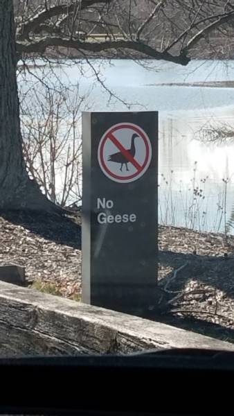 morning picdump 50 pics 9.html - 50 HD Photos | Premium Gallery 2018