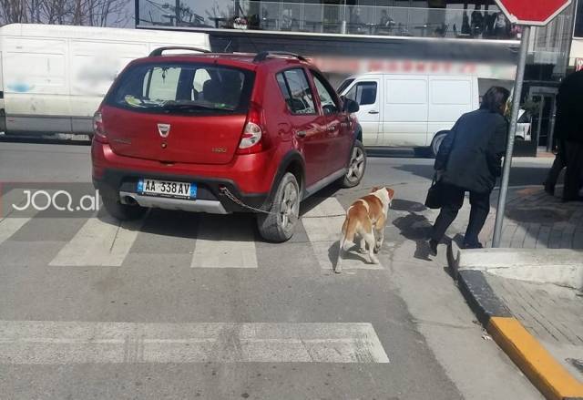 daily picdump 94 pics 36.html - 94 HD Photos | Premium Gallery 2018