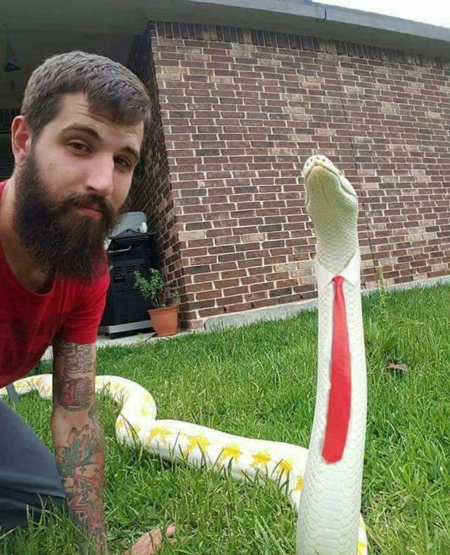 daily picdump 94 pics 36.html - 94 HD Photos | Premium Gallery 2018