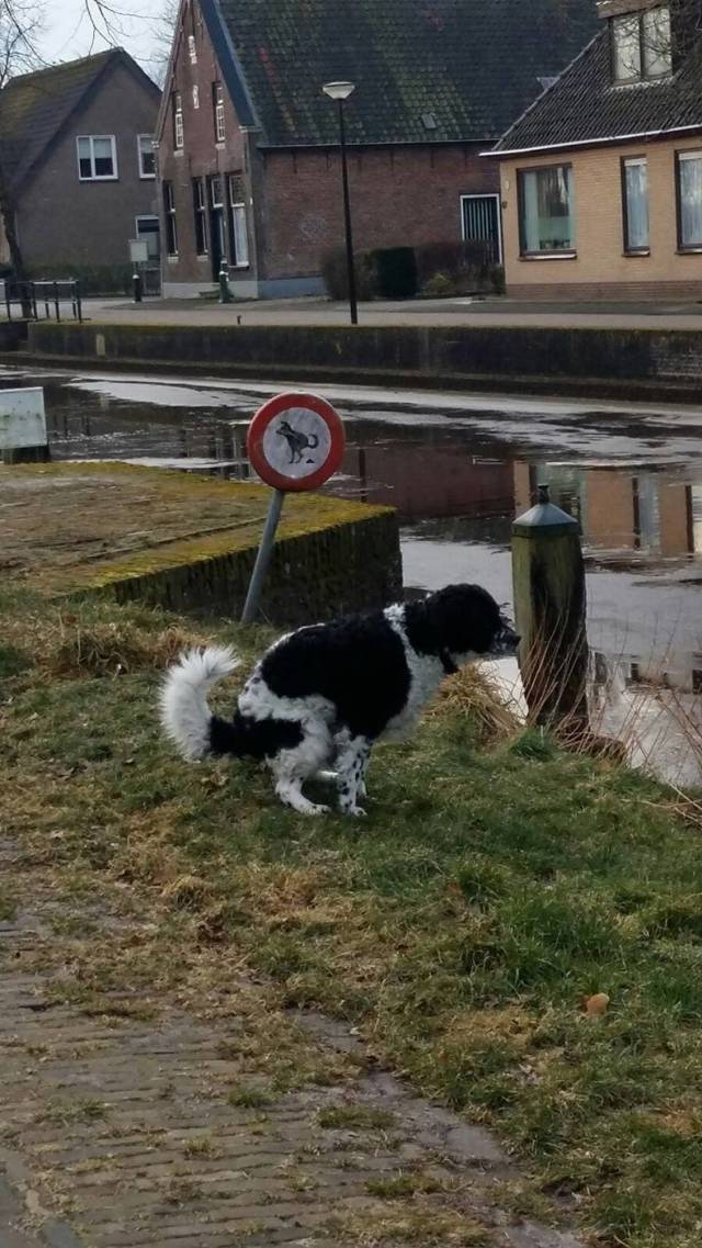 daily picdump 94 pics 36.html - 94 HD Photos | Premium Gallery 2018