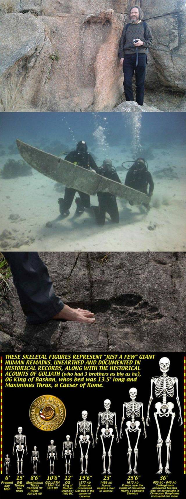 daily picdump 94 pics 36.html - 94 HD Photos | Premium Gallery 2018