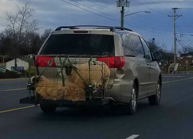 morning picdump 50 pics 18.html - 50 HD Photos | Premium Gallery 2018