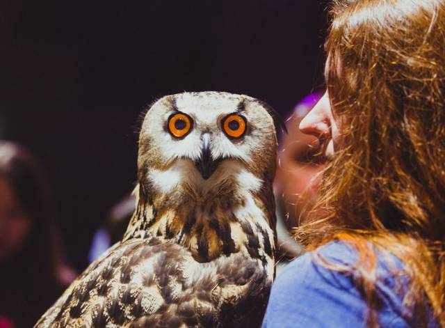 daily picdump 94 pics 17.html - 94 HD Photos | Premium Gallery 2018