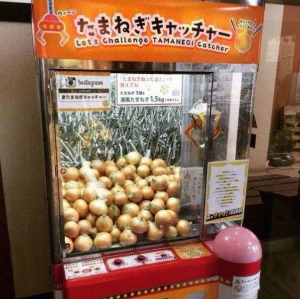 daily picdump 94 pics 17.html - 94 HD Photos | Premium Gallery 2018