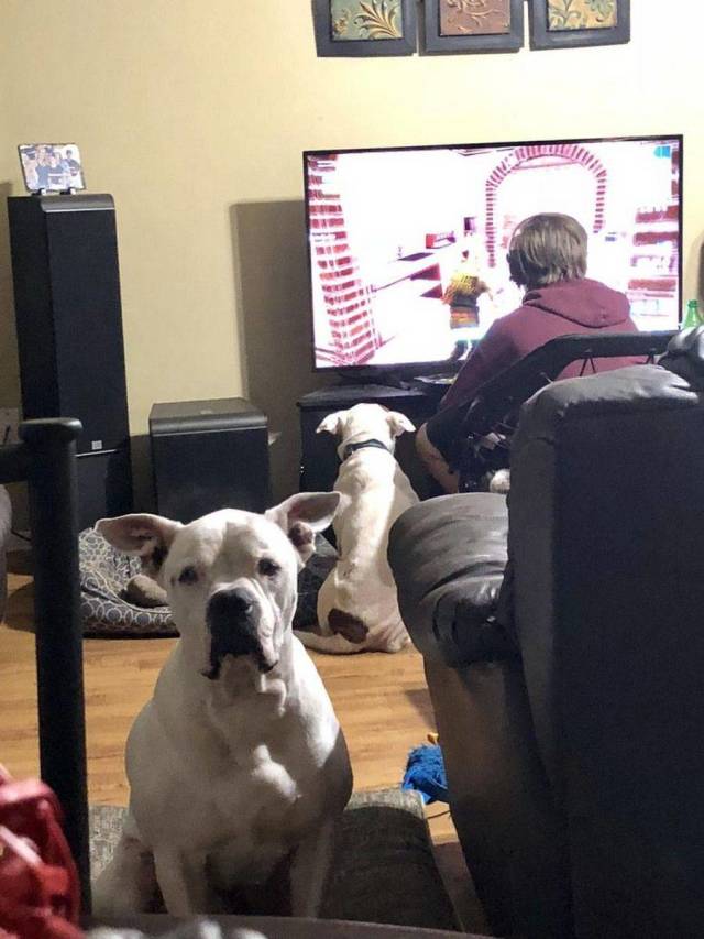 daily picdump 94 pics 17.html - 94 HD Photos | Premium Gallery 2018