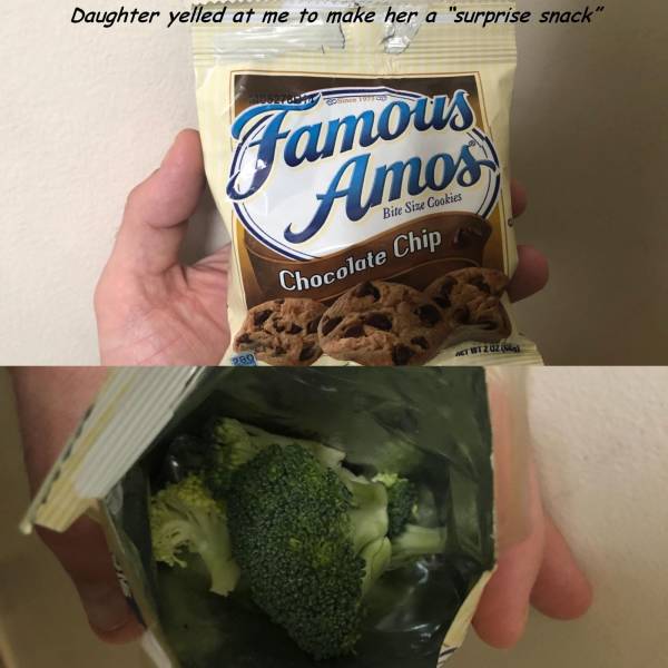 Daily Picdump [WEEKEND EDITION]