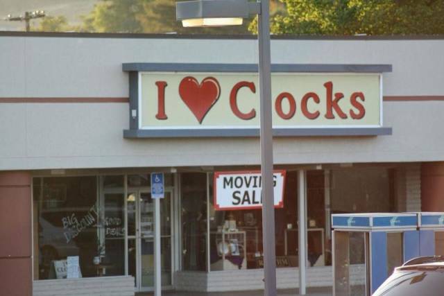 daily picdump weekend edition 68 pics 18.html - 68 HD Photos | Premium Gallery 2018