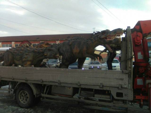 daily picdump weekend edition 68 pics 18.html - 68 HD Photos | Premium Gallery 2018