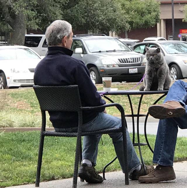 Daily Picdump [WEEKEND EDITION]