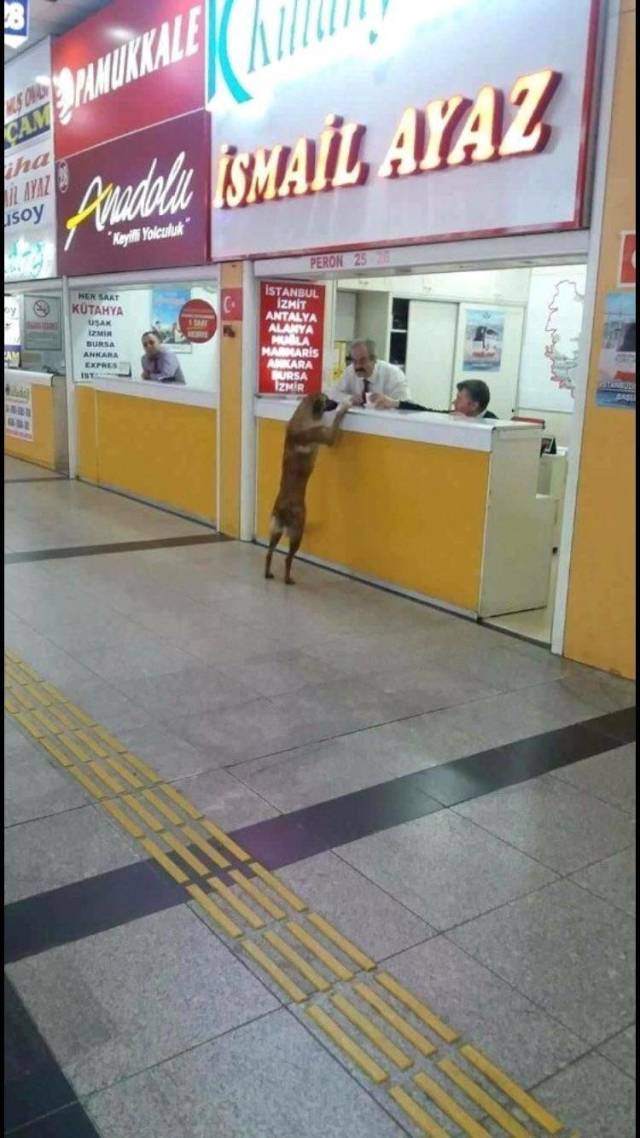 daily picdump weekend edition 68 pics 18.html - 68 HD Photos | Premium Gallery 2018