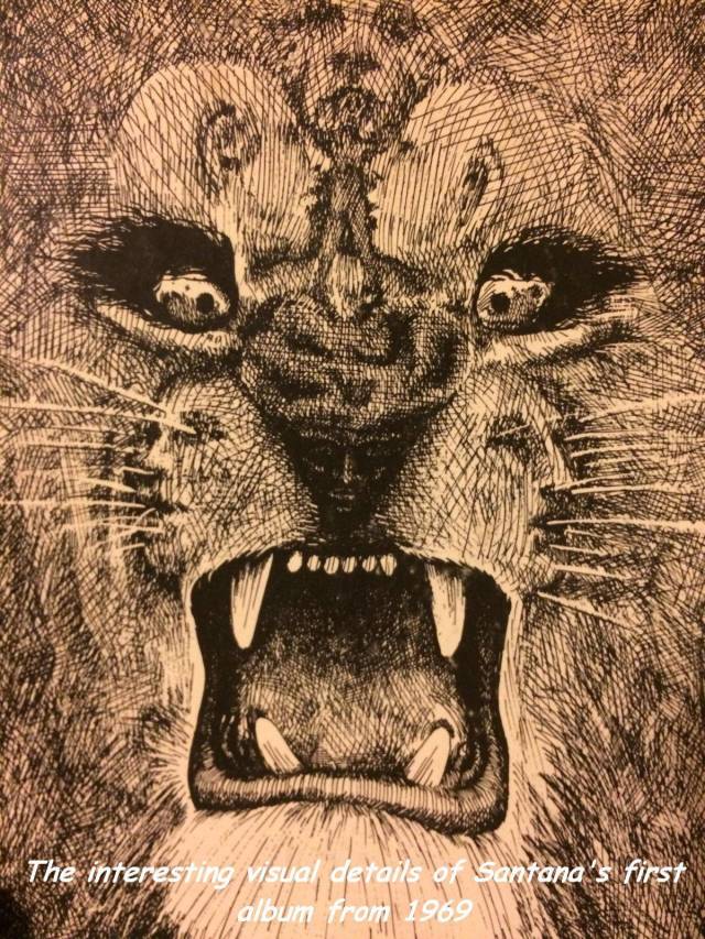 daily picdump weekend edition 68 pics 18.html - 68 HD Photos | Premium Gallery 2018