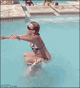 GIFs Of Stupidity At Its Finest