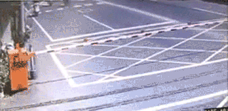 GIFs Of Stupidity At Its Finest