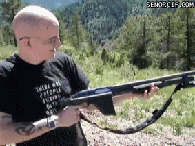 GIFs Of Stupidity At Its Finest