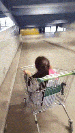 GIFs Of Stupidity At Its Finest