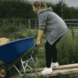 GIFs Of Stupidity At Its Finest